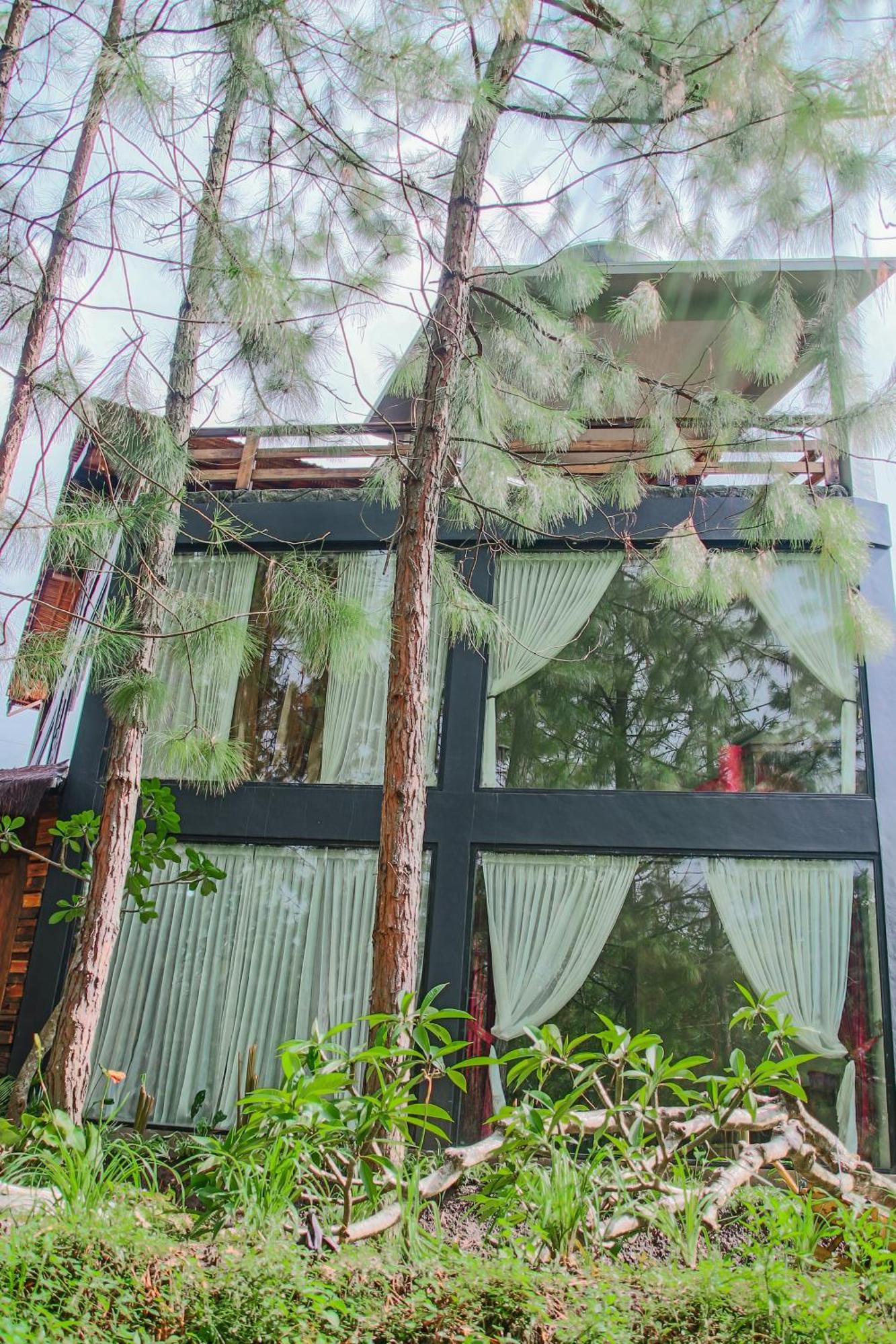 Villa Omah Kayu Bromo Ngadisari Exterior foto