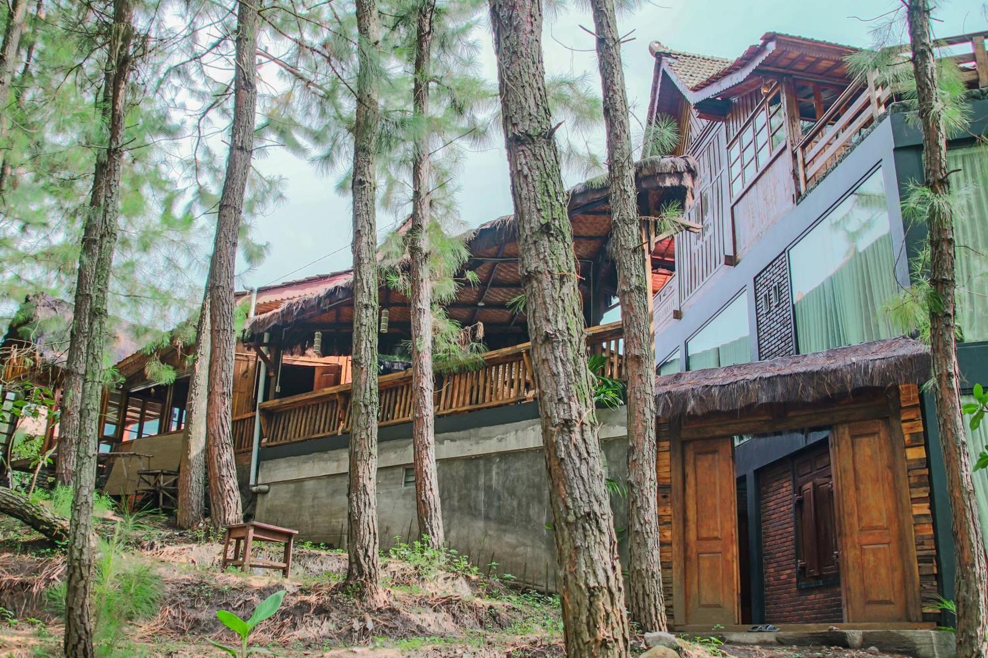 Villa Omah Kayu Bromo Ngadisari Exterior foto